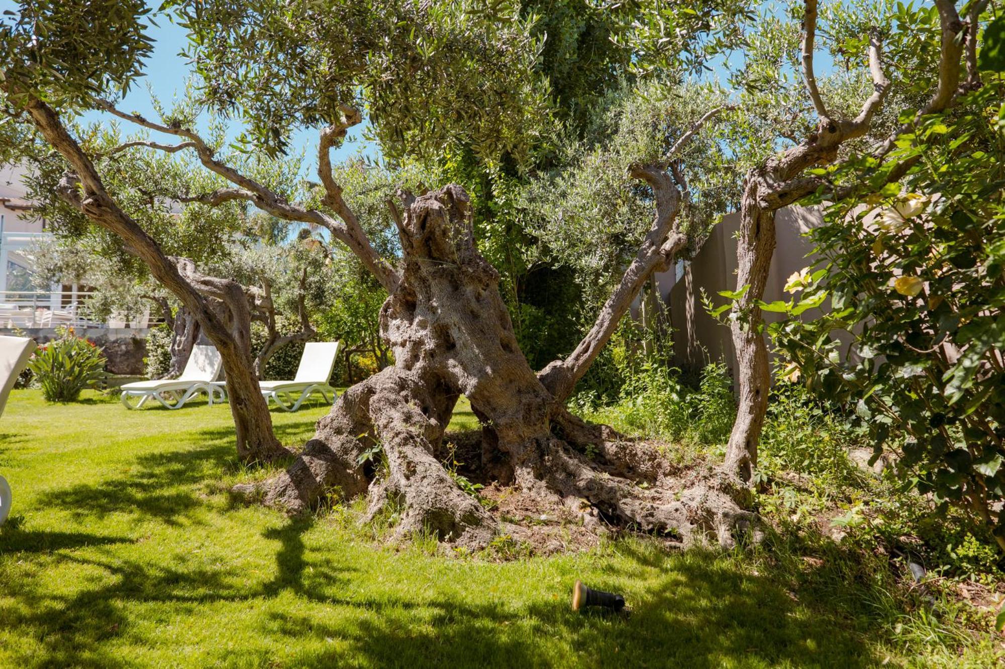 Hotel La Tavernetta Scopello  Bagian luar foto